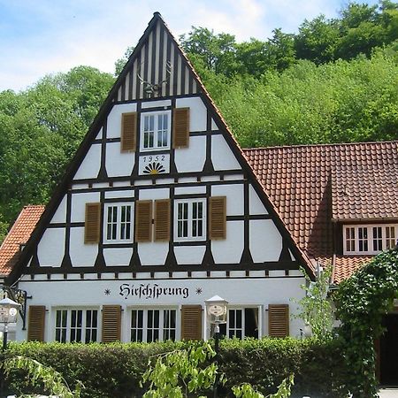 Landhaus Hirschsprung デトモルト エクステリア 写真